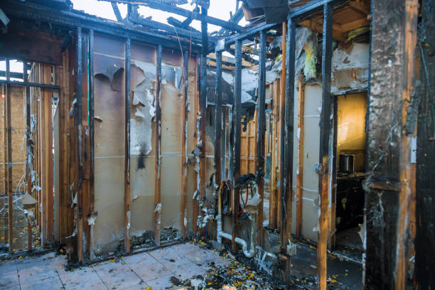 Professional Fire Damage Removal technician working in Shady Shores, TX